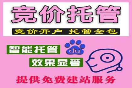 百度广告推广费用案例分析：效果与投入的平衡